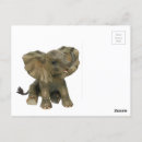 Suche nach große ohren postkarten Elefant