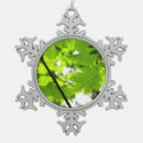 Suche nach ahorn ornamente Natur