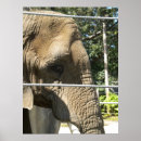 Suche nach thoughtful poster Tiere
