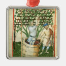 Suche nach ansammlungen ornamente Wein