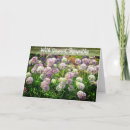 Suche nach hübsche blume karten Fotografie