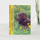 Suche nach labrador retriever geburtstag karten Retriefe
