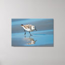 Suche nach fütterung kunst Vogel