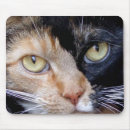 Suche nach katzen der liebe i mousepads Valentine