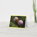 Suche nach magnolie karten Fotografie