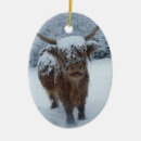 Suche nach kuh ornamente weihnachten