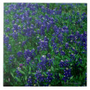 Suche nach wachstum fliesen Tag