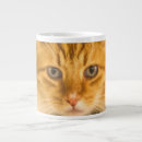 Suche nach maine coon tassen Liebe