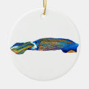 Suche nach tintenfisch ornamente Ozean