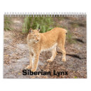 Suche nach luchs kalender Große katzen