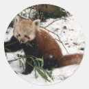 Suche nach roter panda aufkleber Tragen