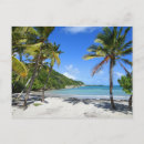 Suche nach guadeloupe Palmen