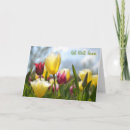 Suche nach tulpen karten Rosa