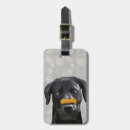 Suche nach nase accessoires Hundeknochen