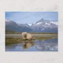 Suche nach steve kazlowski poster Schnee