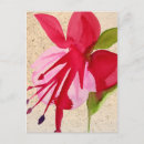 Suche nach fuchsie postkarten Blume