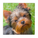 Suche nach ohren fliesen Neugier