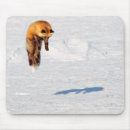 Suche nach fuchs mousepads Superstock