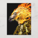 Suche nach feuervogel postkarten Vogelvogel