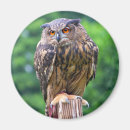 Suche nach eurasien magnete Vogel