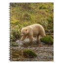 Suche nach jagd kleine notizbücher Schwarzbär