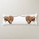 Suche nach rind kissen Für ihn