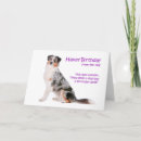 Suche nach australian shepherd karten Lustig