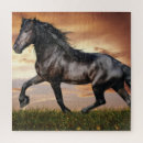 Suche nach schwarzes pferd puzzle Tier