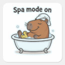 Suche nach capybara aufkleber Meme