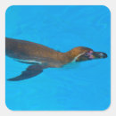 Suche nach kleiner pinguin aufkleber Schnabel