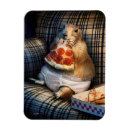 Suche nach präriehund magnete Avanti press