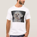 Suche nach niedlicher pudel tshirts Hund