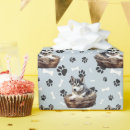 Suche nach sibirischer husky geschenkpapier Geburtstag