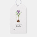 Suche nach crocus Krokus