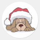 Suche nach niedliche welpen aufkleber Weihnachten