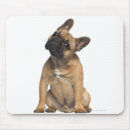Suche nach welpe der französischen bulldogge mousepads Tier