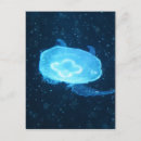 Suche nach transparent postkarten Blau