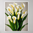 Suche nach calla lily poster Botanisch
