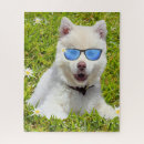 Suche nach lustige hunde spielzeug spiele Albern