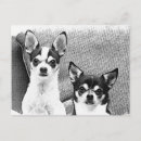 Suche nach schwarze chihuahua poster Haustier