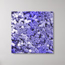 Suche nach bakterien leinwandbilder Biologie