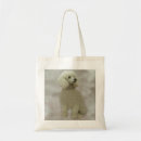 Suche nach pudel taschen Hund