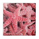 Suche nach rote fische fliesen Ozean