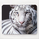 Suche nach bengalische katze mousepads Tiger