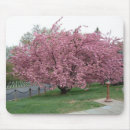 Suche nach kirschbaum mousepads Kirsche
