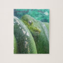 Suche nach regenwald puzzle Cool