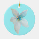 Suche nach pastellfarben ornamente Blau