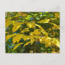 Suche nach original postkarten Fotografie