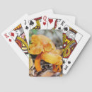 Suche nach pilze spielkarten Wälder