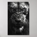 Suche nach weiße löwen poster Tierwelt